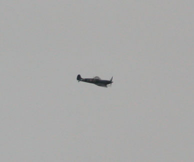 Spitfire