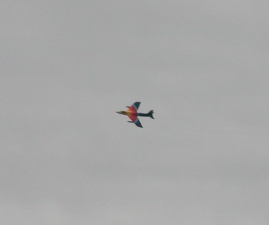Miss Demeanour
