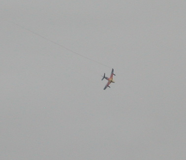 Miss Demeanour