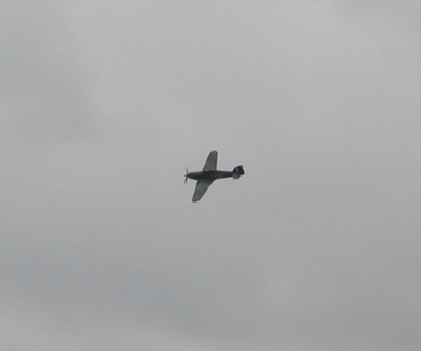 Spitfire