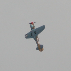 Looping