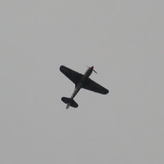 Looping