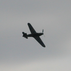 Spitfire