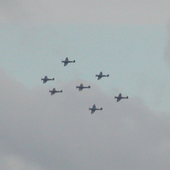 Spitfires