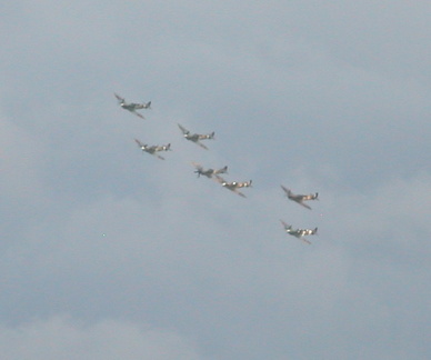 Spitfires