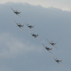 Spitfires