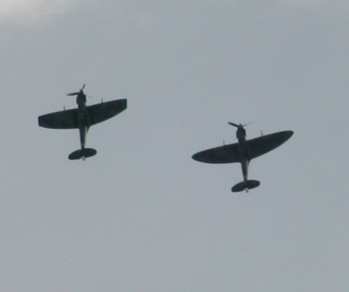 Spitfires