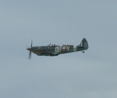 Spitfire