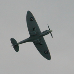 Spitfire