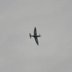Spitfire