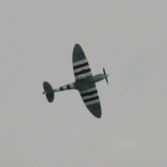 Spitfire