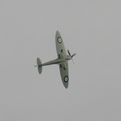 Spitfire