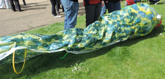 Eel