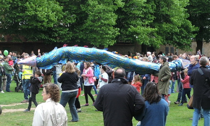Blue eel