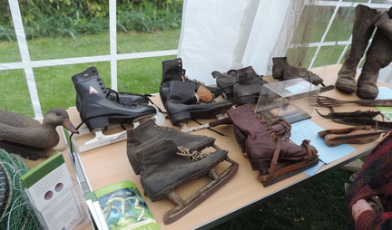 Skates