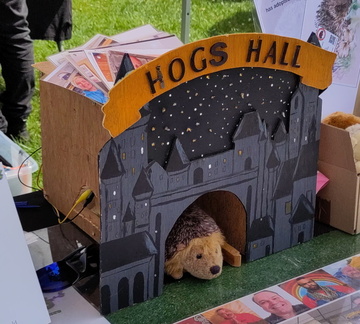 Hedgehog