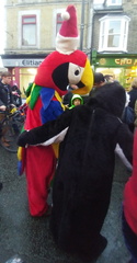 Parrot and penguin