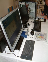 RISCOS Ltd's stand