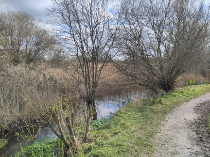 Stream