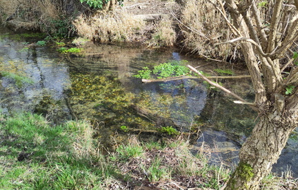 Stream