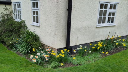 Flower bed