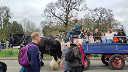 Horse drawn cart