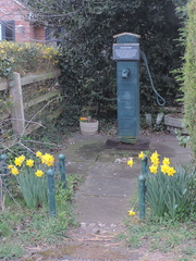 Water pump