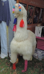 Alpaca