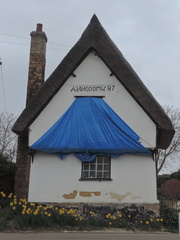Old house