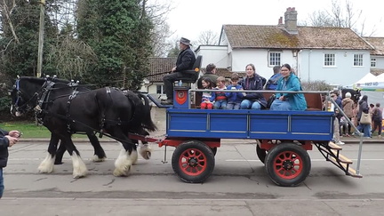Horse and cart