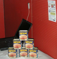 Spam