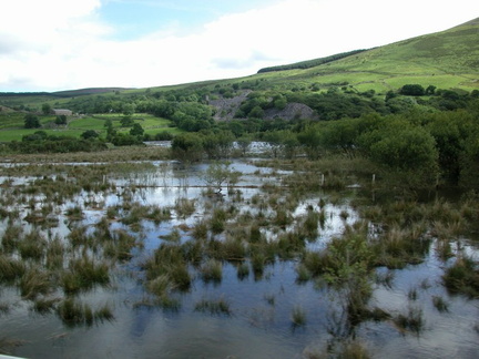 Flood