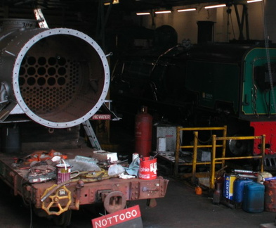 Shed