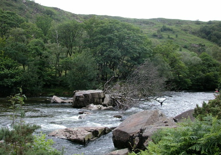 Rapids