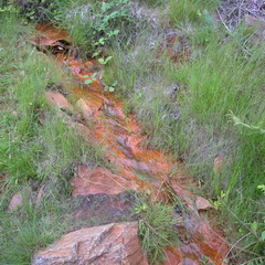 Red stream