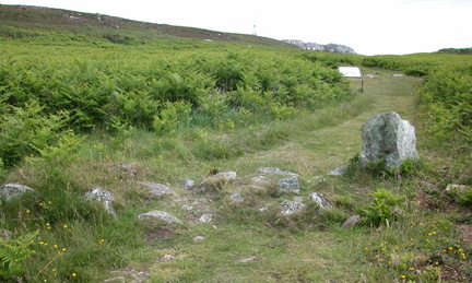 Wall