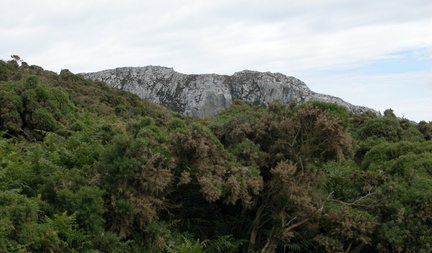 Rocks