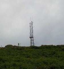 Mast