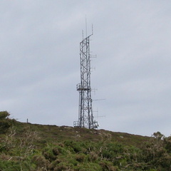 Mast