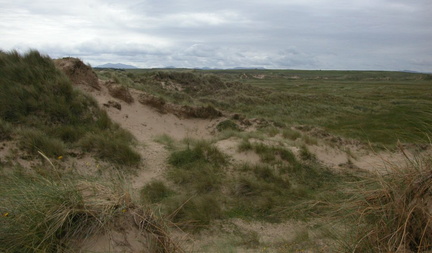 Dunes