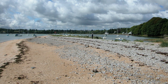 Shingle