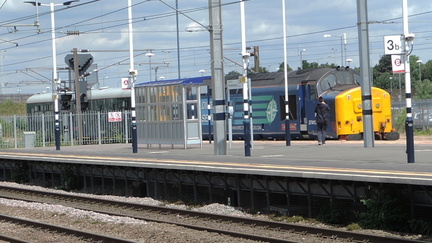 Posh train