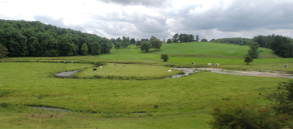 Meander