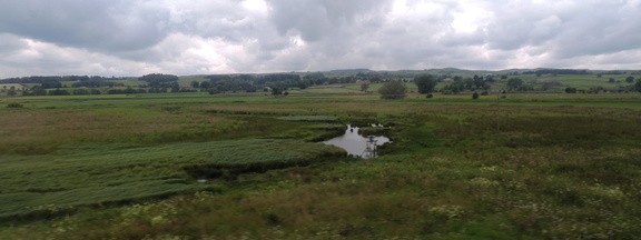 Stream