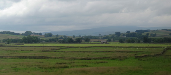 Fields