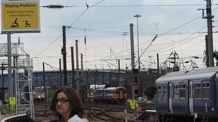 Trains