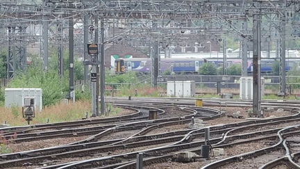Trains