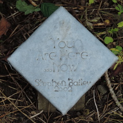 Plaque