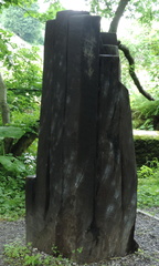 Standing sleepers