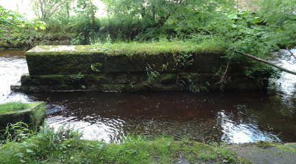 Stream